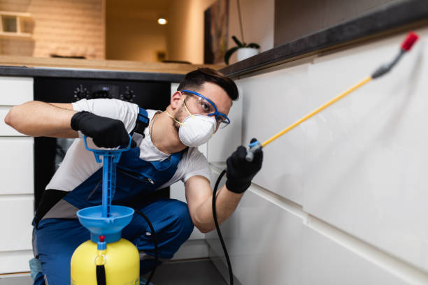 Trusted Portland, MI Pest Control Experts