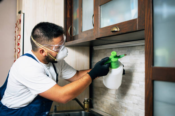 Best Commercial Pest Control Services  in Portland, MI