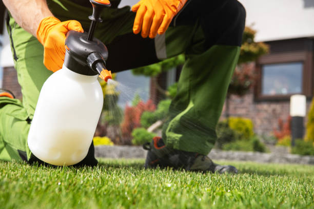 Best Pest Inspection Near Me  in Portland, MI
