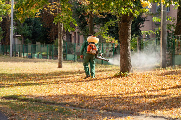 Best Rodent Control Near Me  in Portland, MI