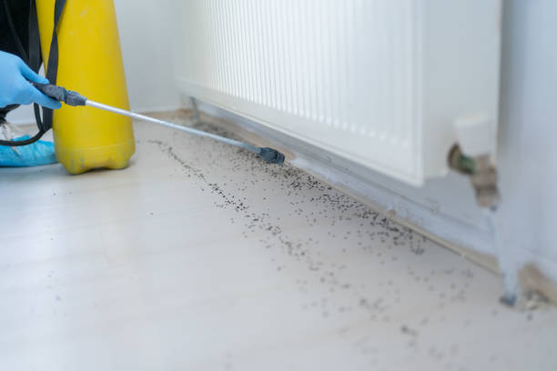 Best Flea Control Services  in Portland, MI